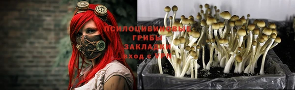 спайс Баксан