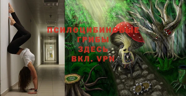 спайс Баксан